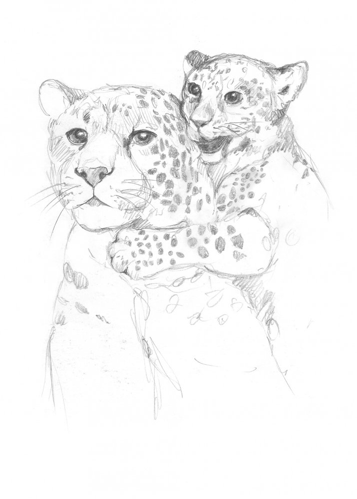 Leoparden von Isabelle Brent