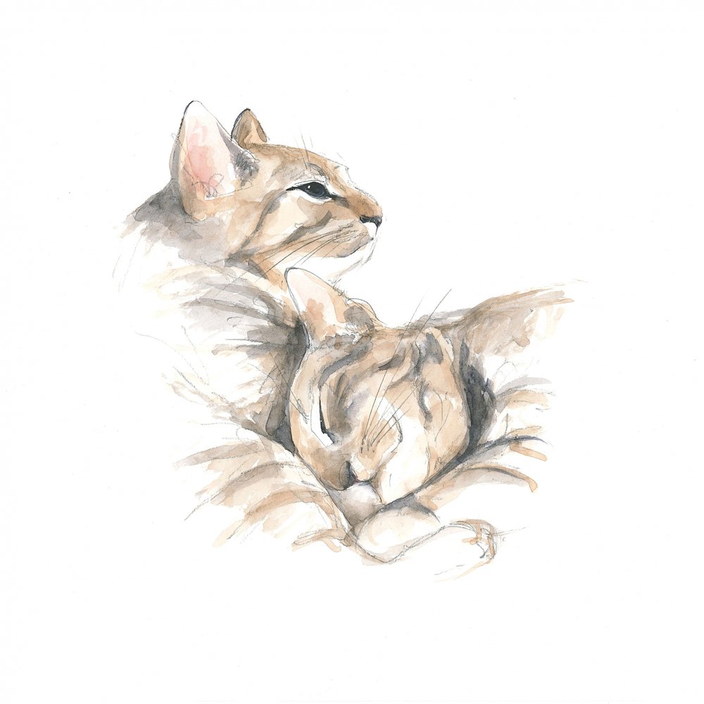 Entspannte Katzen von Isabelle Brent