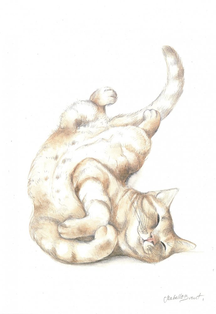 Entspannte Katze von Isabelle Brent