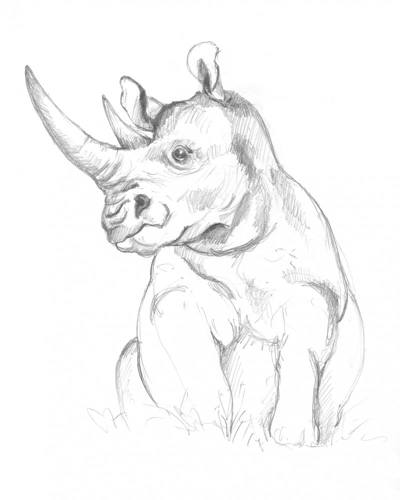 Nashorn von Isabelle Brent