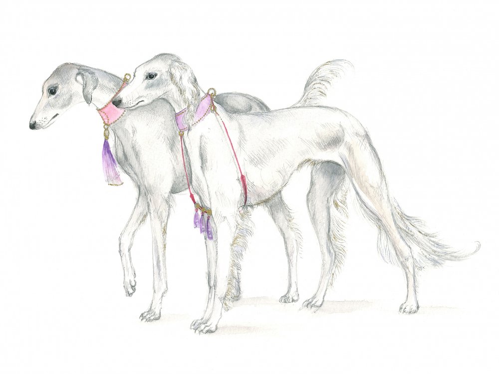 Saluki-Hunde mit zierlichen Halsbändern von Isabelle Brent