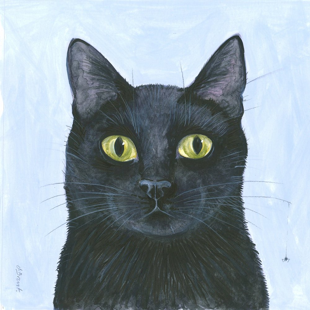 Das Schnurrhaar der Katze von Isabelle Brent