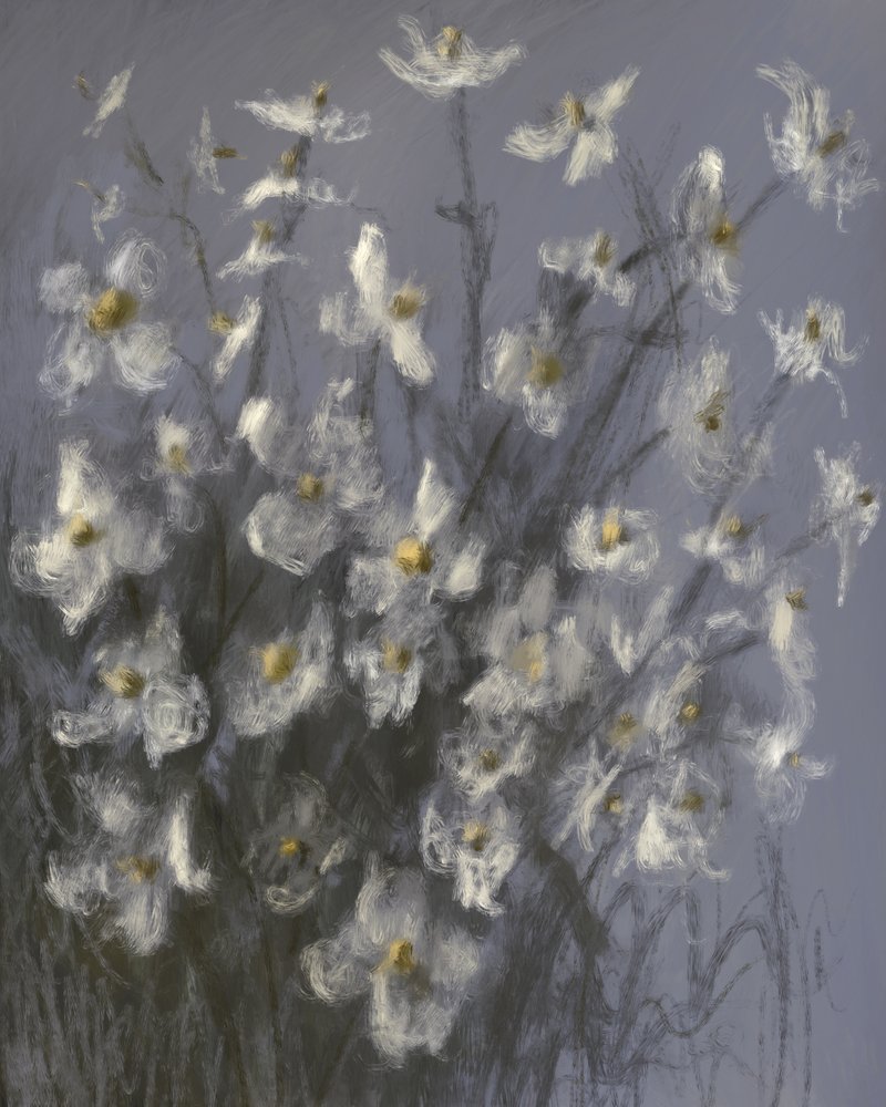 Träumende weiße Blumen von James Zamora