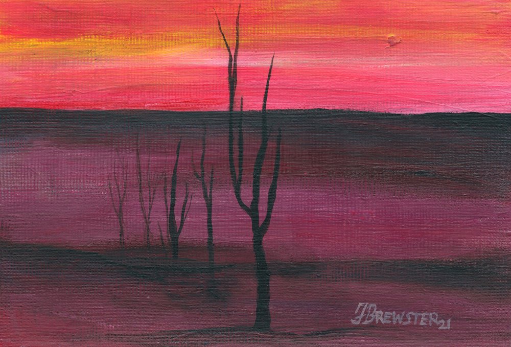 Lebendiger Wüstensonnenuntergang von Janine Brewster