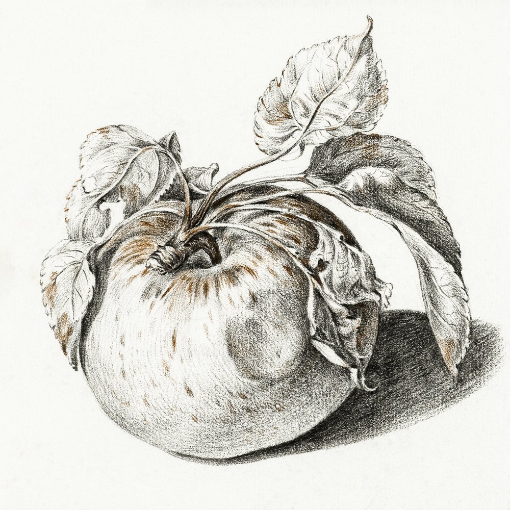 Apfel von Jean Bernard