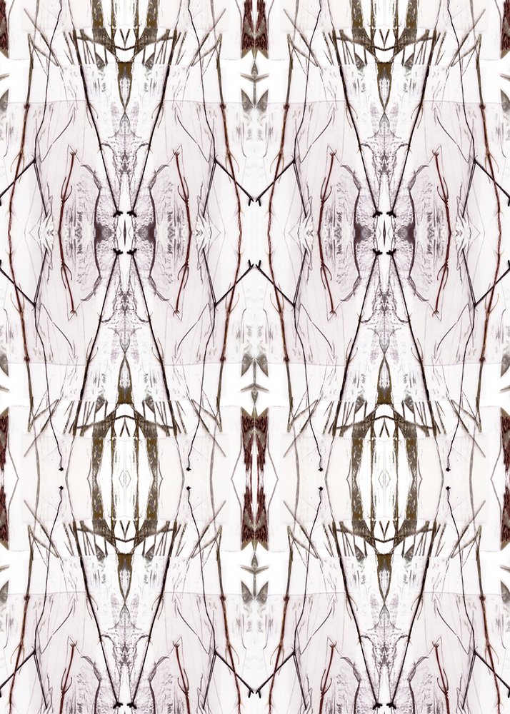 Symmetrisches Naturmuster von Jenja Braun