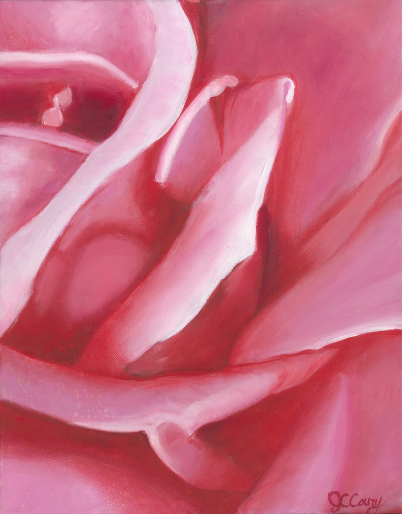 Weiche rosa Rosenblätter von Jillian Claire