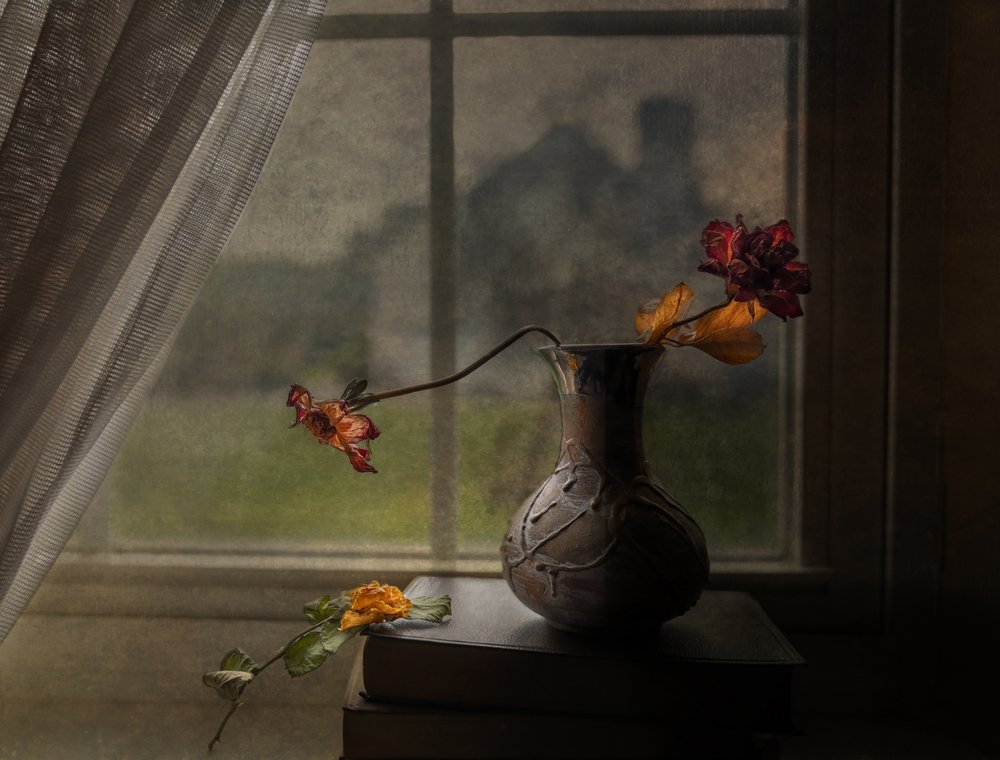 Getrocknete Rosen Fensterblick von John-Mei Zhong