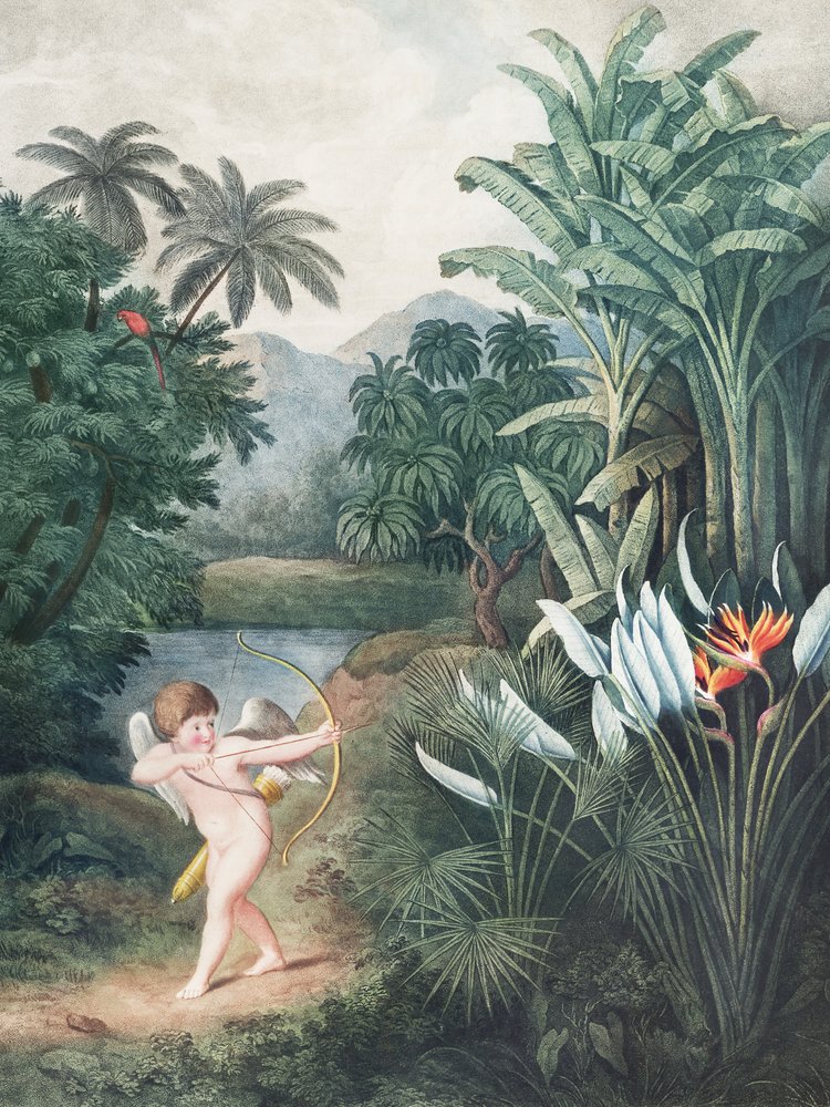 Cupidon inspiriert Pflanzen mit Liebe aus dem Tempel der Flora (1807) von Robert John Thornton von John Thornton