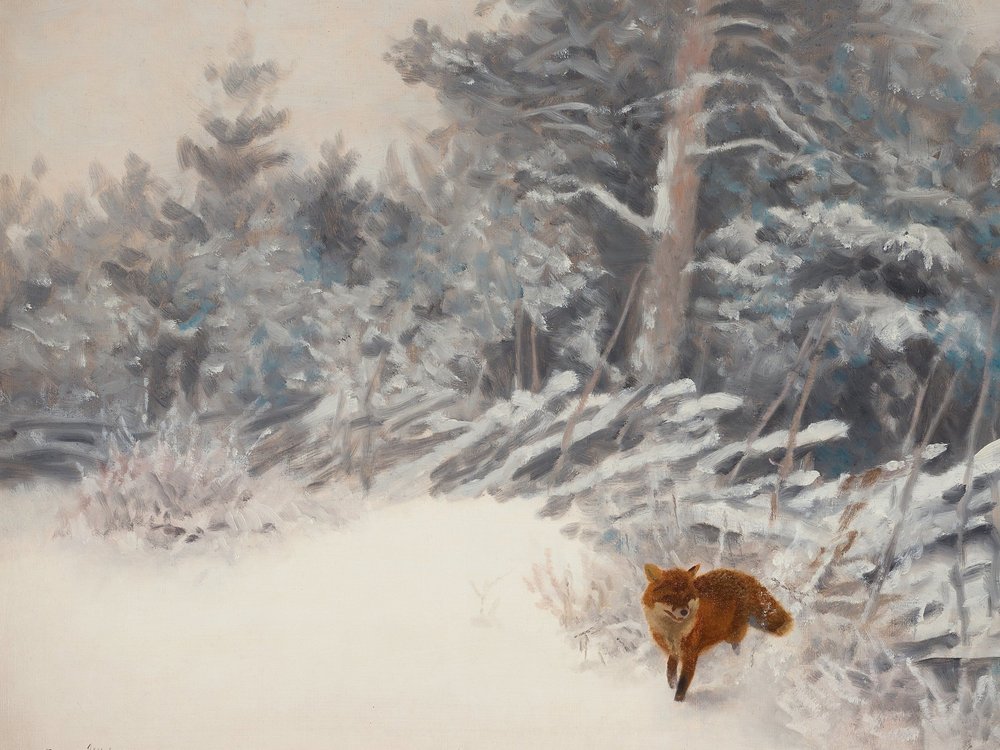 Winterwald Fuchs von Jolly and Dash