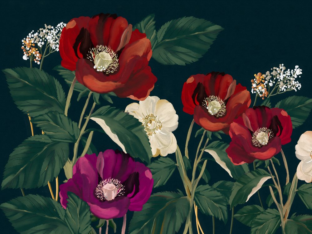 Elegante dunkle Mohnblumen von Josie George