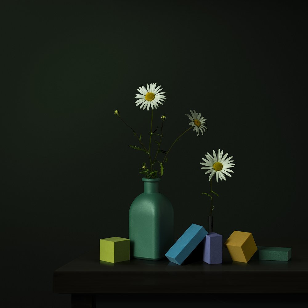 Gänseblümchenvase Geometrische Blöcke von Juan Antonio Palacios