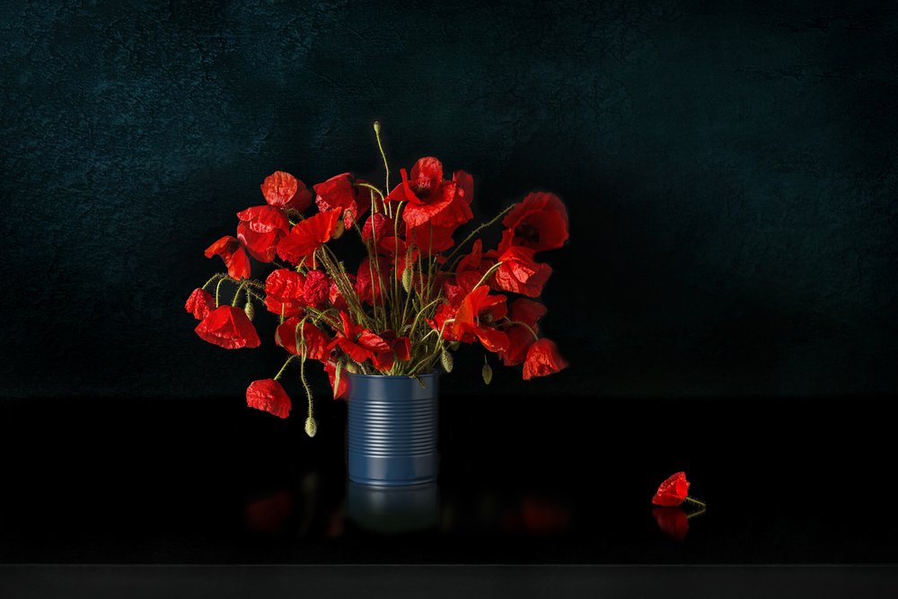 Dramatische Rote Mohnblumen von Juan Antonio Palacios