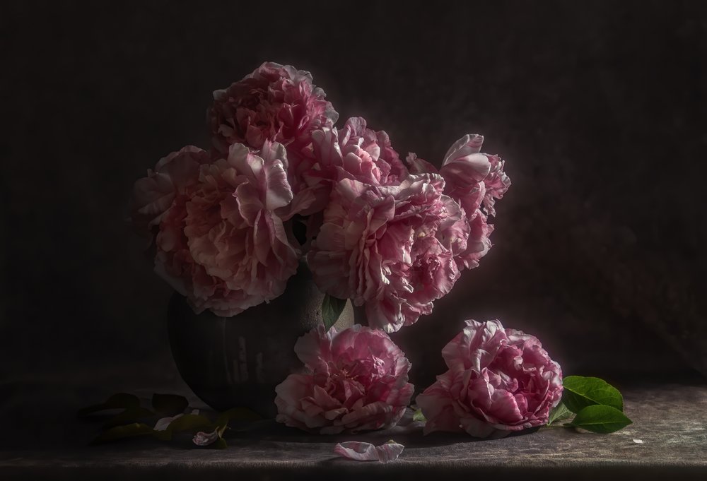Dunkelrosa Pfingstrosen von Judy Tseng