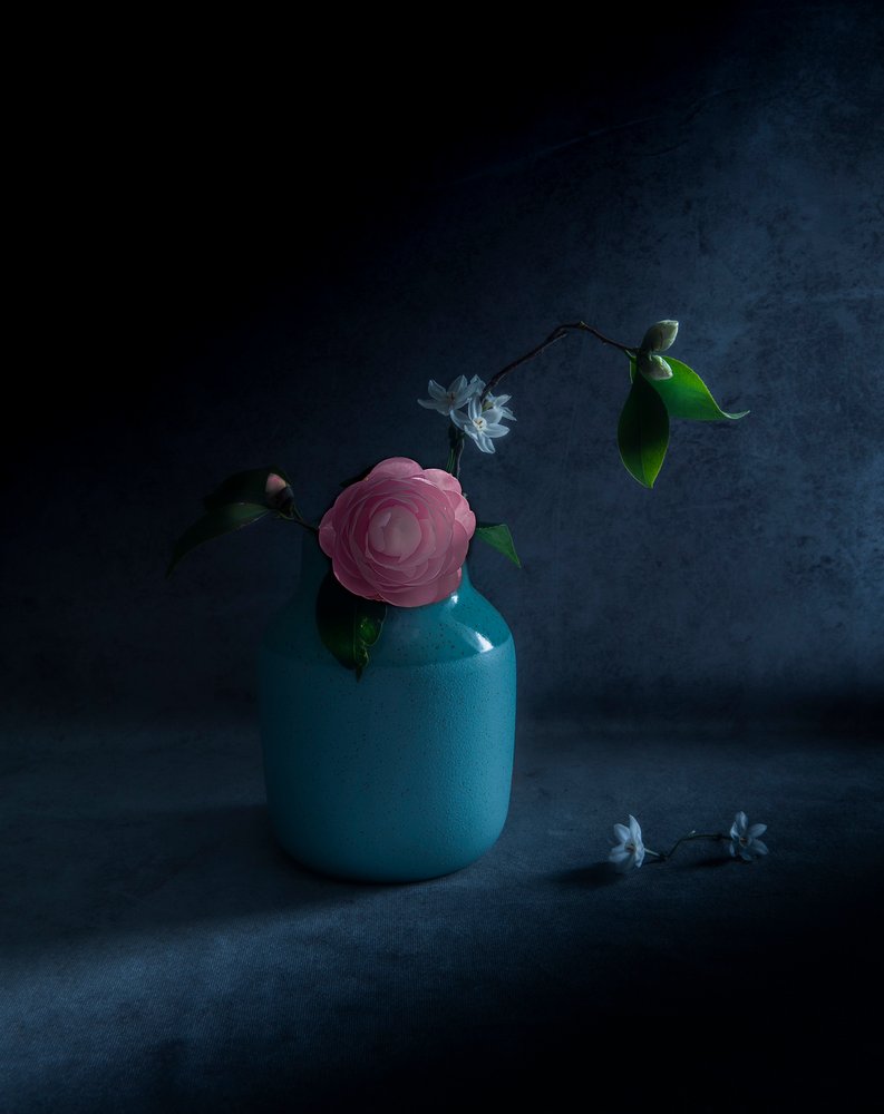 Stimmungsvolle Rosa Blüte von Judy Tseng