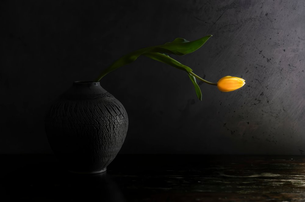Gelbes Tulpenstillleben von Judy Tseng