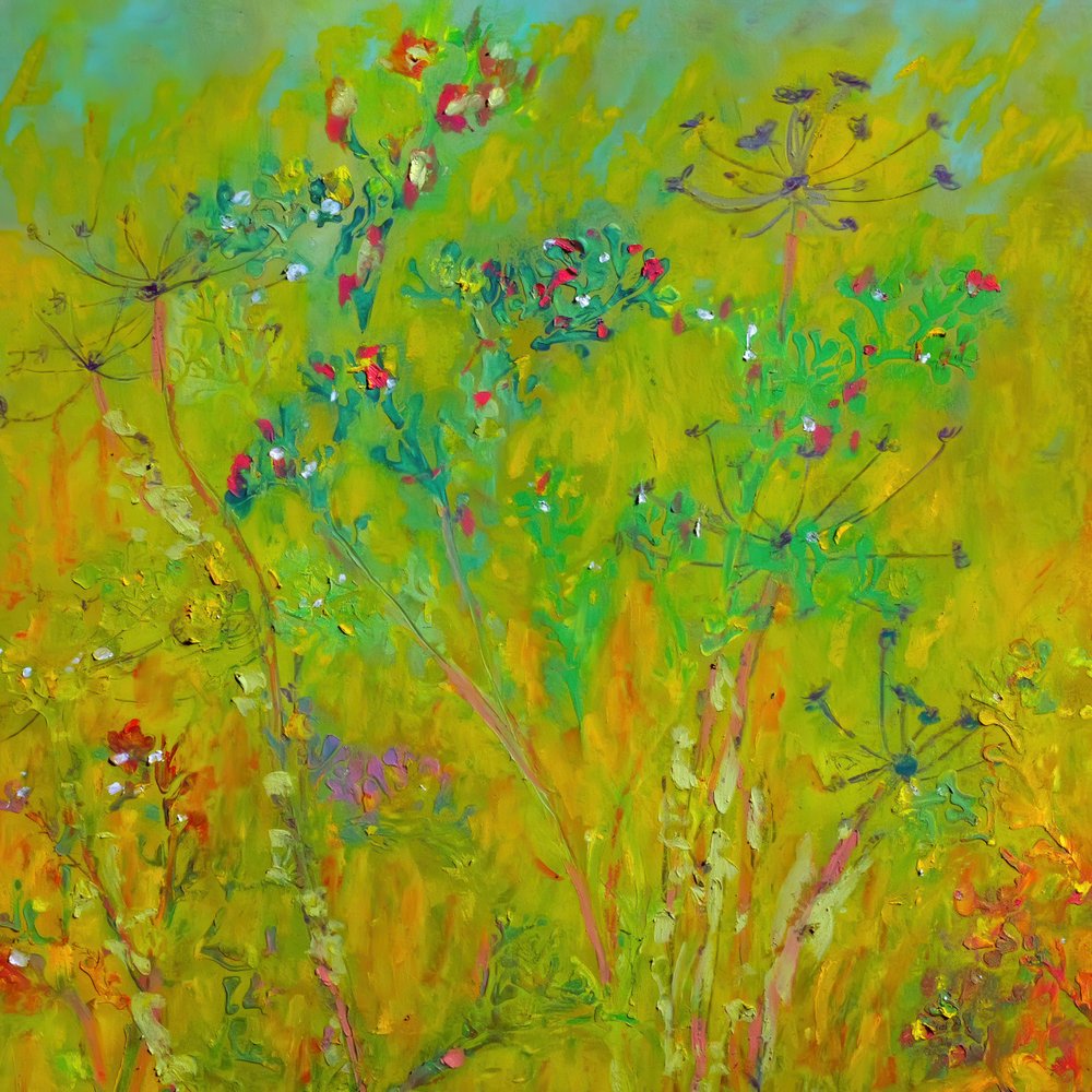 Farbenfrohes Wildblumenfeld von Justyna Jaszke