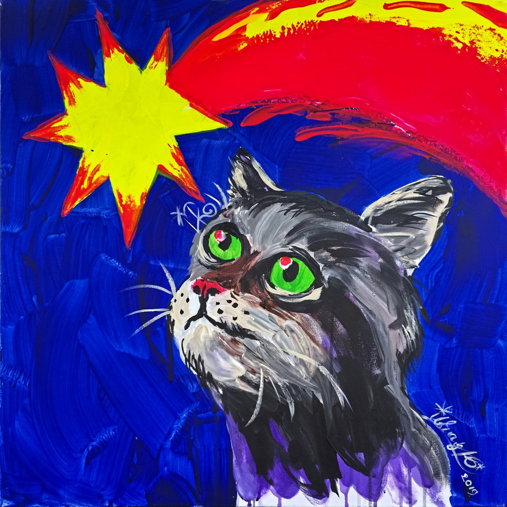 Katze und Komet von Kanat Ibragimov