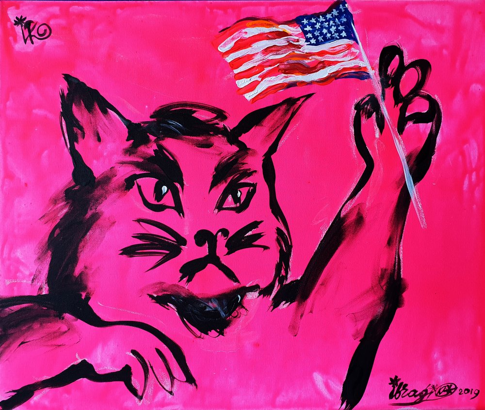 Rosa Katze Amerikanische Flagge von Kanat Ibragimov