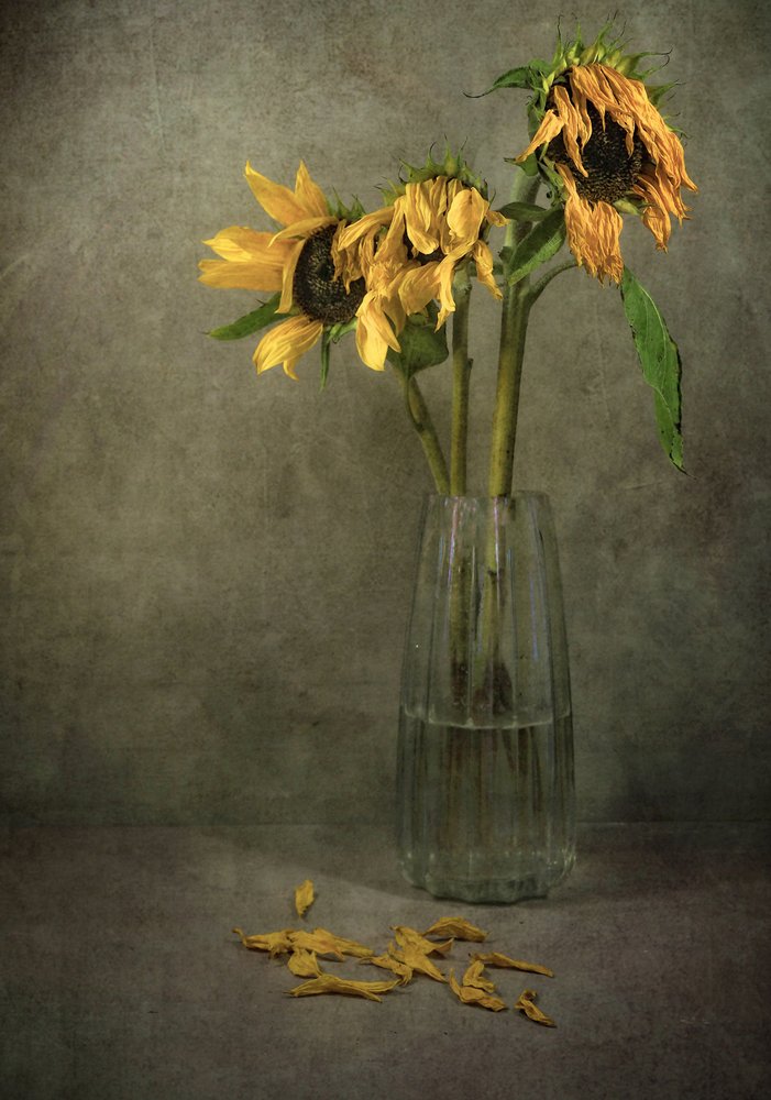 Melancholische Sonnenblumenblüten von Karen Smalley