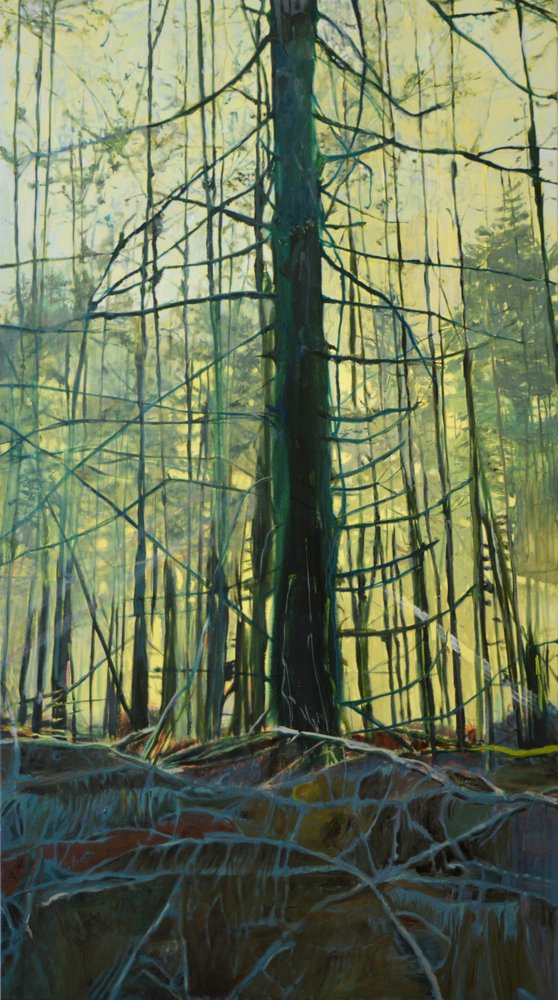Ätherisches Waldlicht von Karin Bos