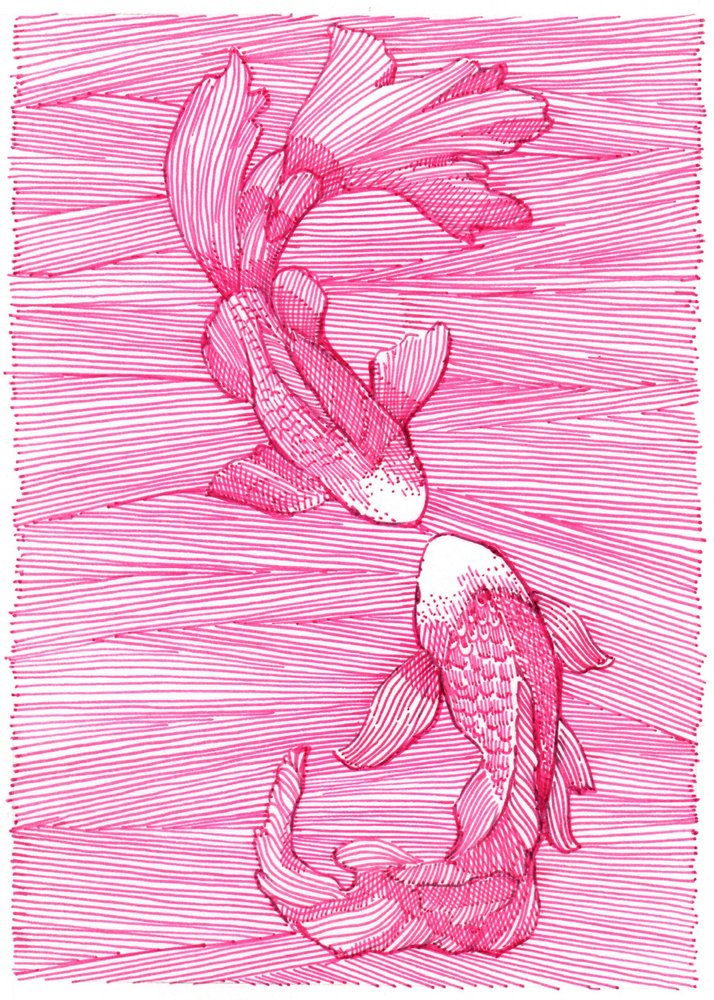 Tanz der rosa Koi von Katie O'Shea