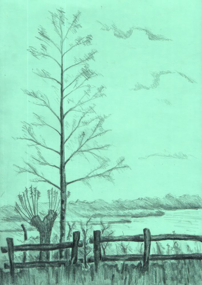 Kahle Baumlandschaft von Kulik