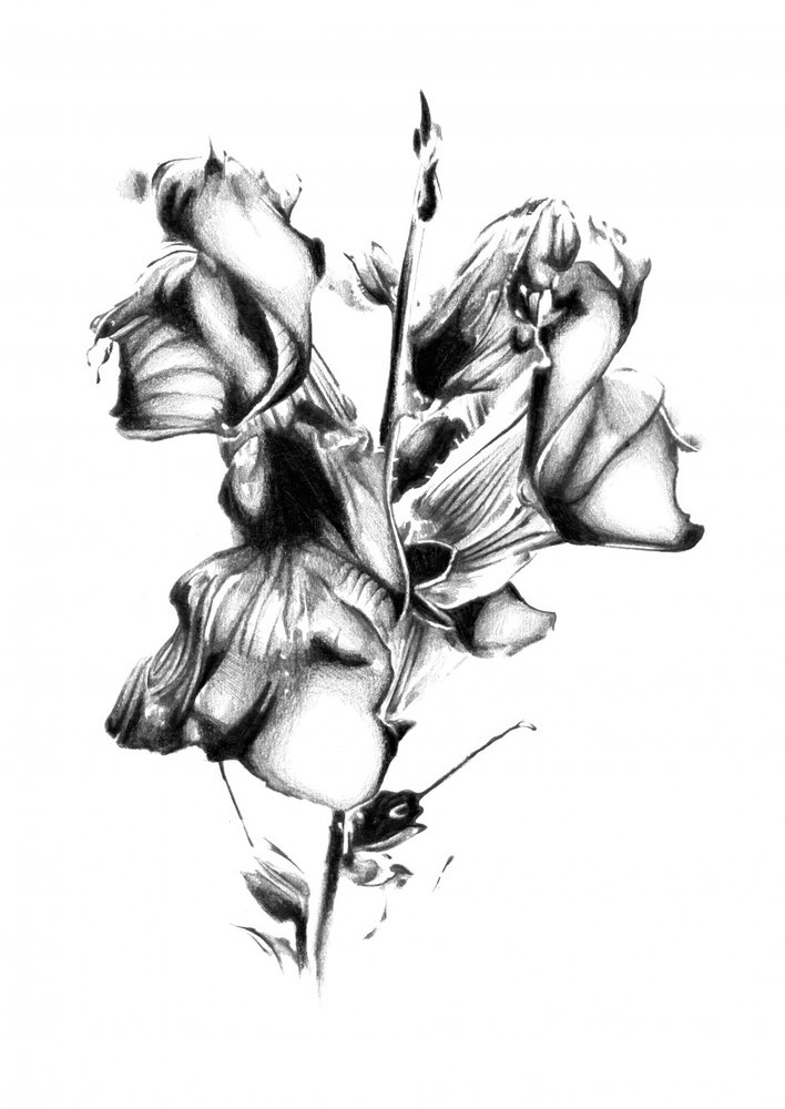 Elegante Verwelkte Blüte von Kulik