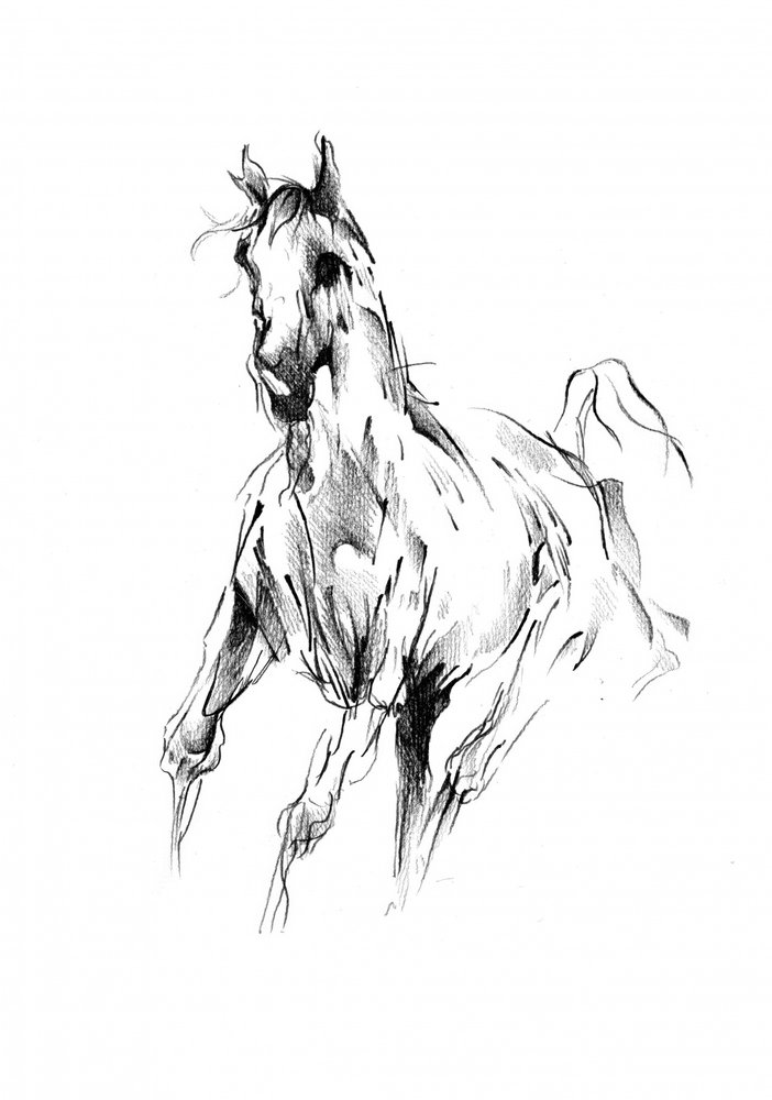 Galoppierendes Pferd Skizze von Kulik