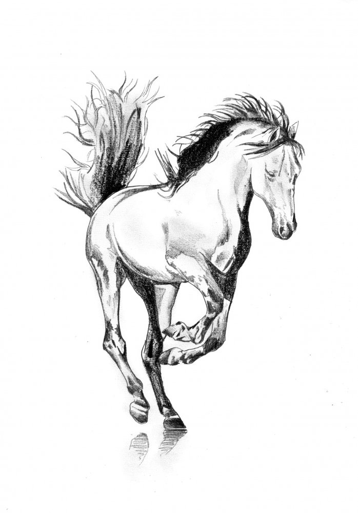 Galoppierendes Pferd Skizze von Kulik
