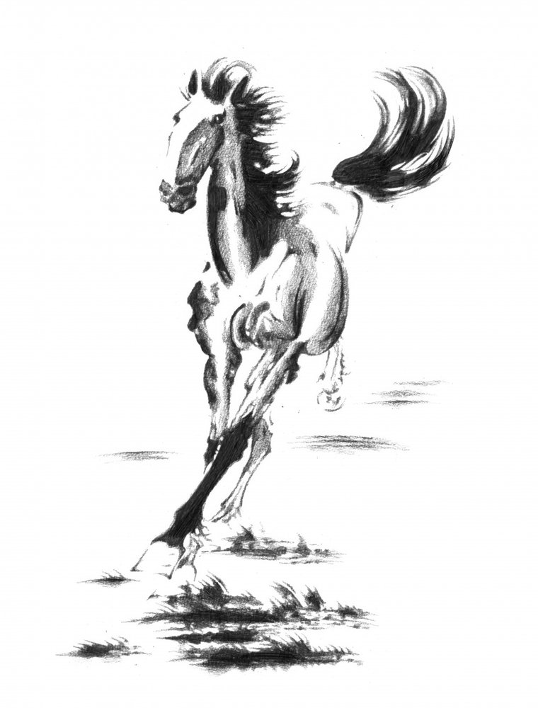 Galoppierendes Wildpferd von Kulik