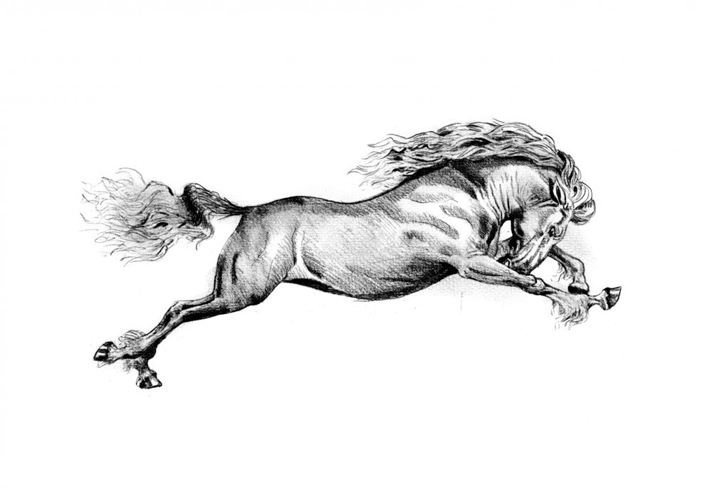 Galoppierendes Wildpferd von Kulik