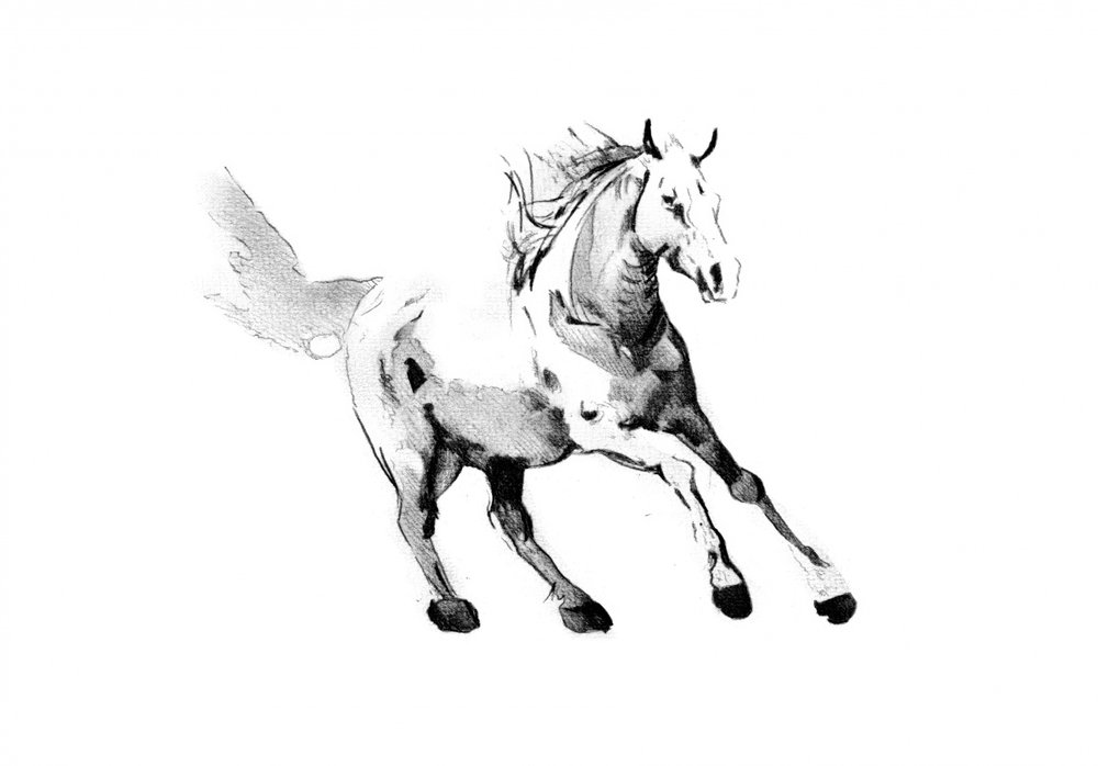 Galoppierendes Wildpferd von Kulik