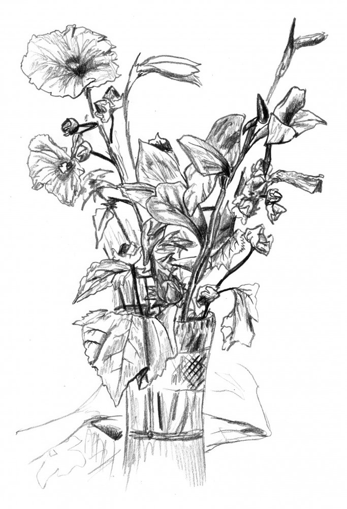 Bleistift-Blumenstillleben von Kulik
