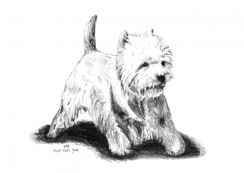 Verspielte Westie-Skizze von Kulik