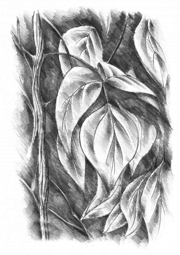Schattierte Botanische Blätter von Kulik
