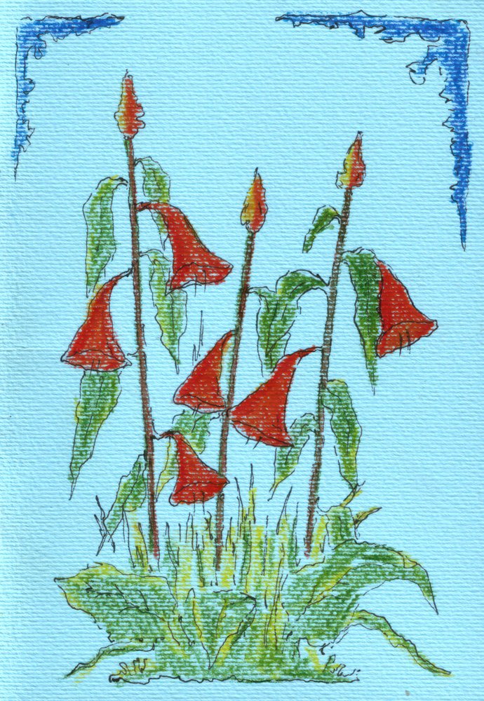 Lebendige Rote Glockenblumen von Kulik