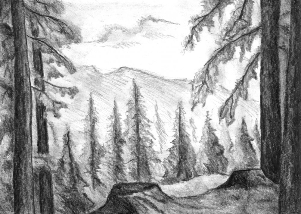 Wilder Bergwald von Kulik