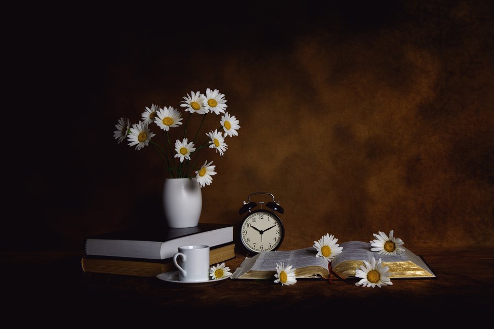 Gänseblümchen Bücher Morgenfrieden von Leah Xu