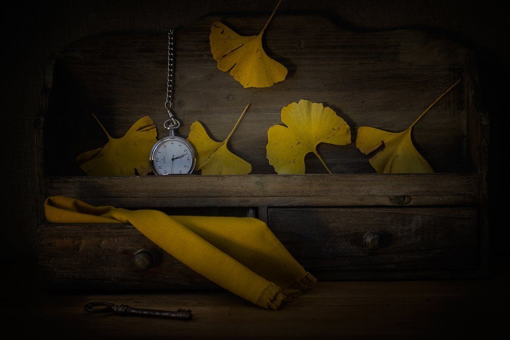 Goldene Blätter und Zeit von Lenka