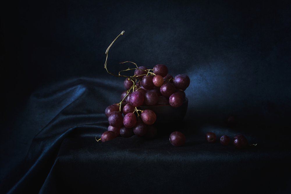 Reiche violette Trauben von Lenka