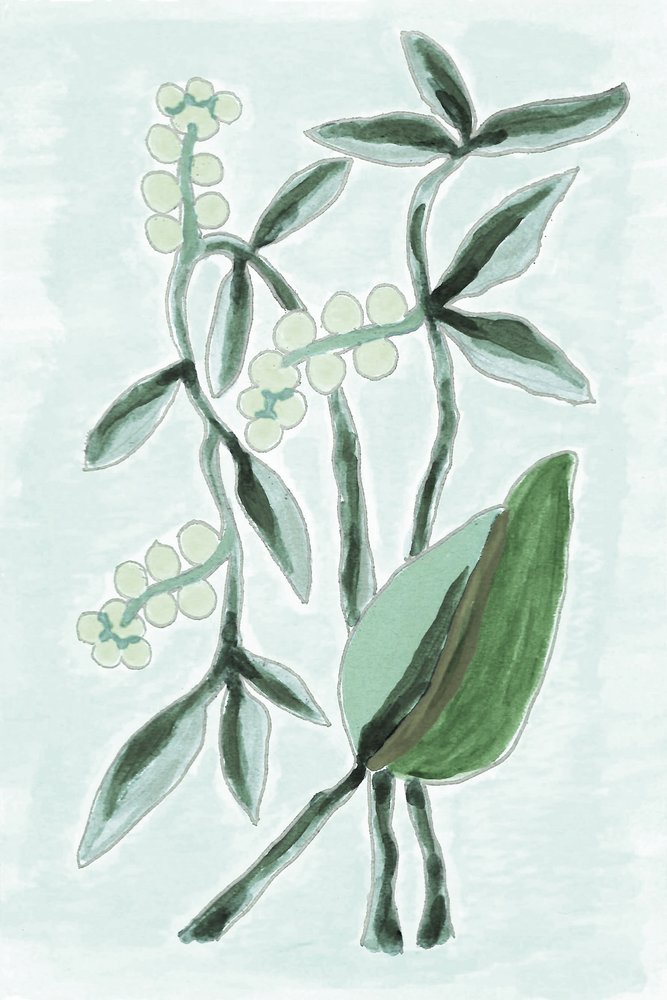 Grüne Botanische Aquarelle von Lori Ann Folz