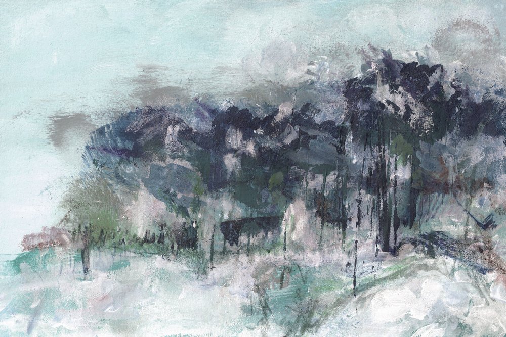 Nebliger Winterwald von Lori Ann Folz