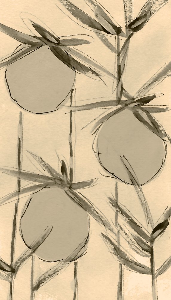 Sepia-Baumwollpflanzen von Lori Ann Folz