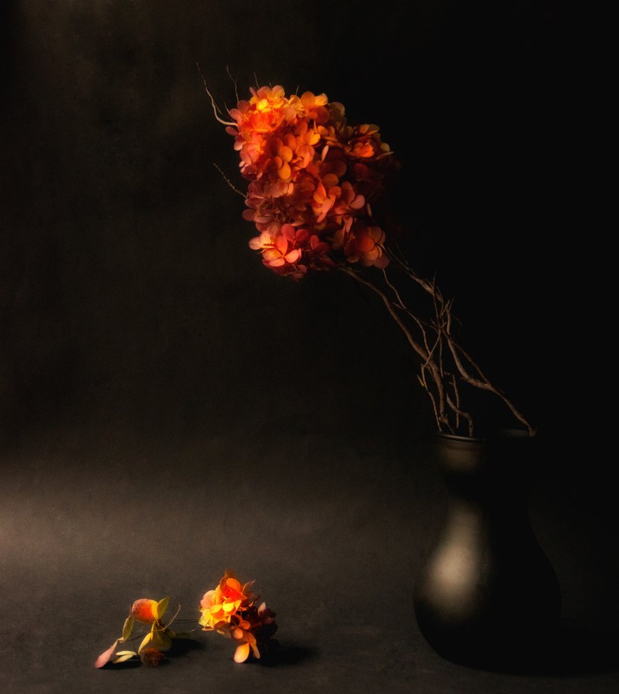 Stimmungsvolle Herbstblumen von Ludmila Shumilova