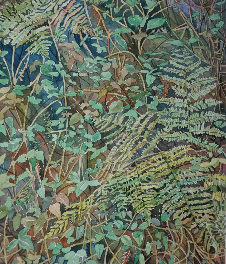 Üppige Waldfarne von Luisa Millicent