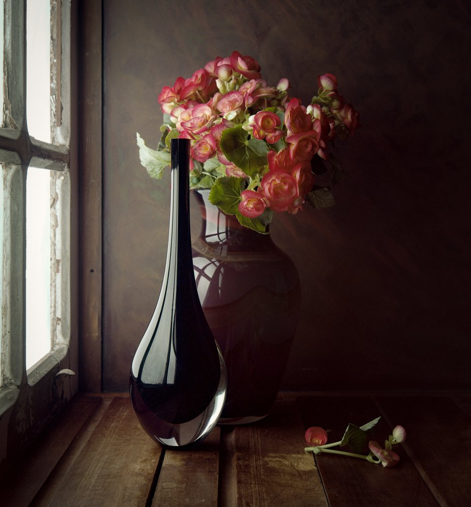 Rosa Blumen Fensterlicht von Luiz Laercio
