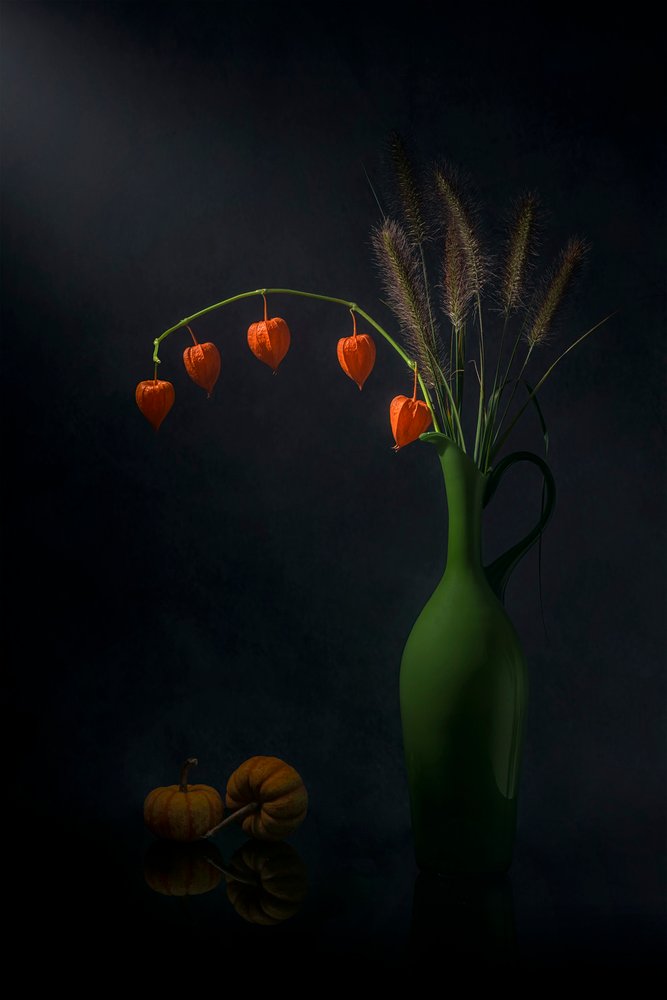 Herbstlaternen Stillleben von Lydia Jacobs
