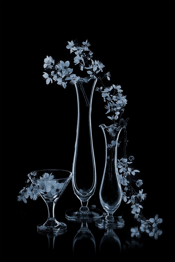 Blaue Blumen in Glasvasen von Lydia Jacobs