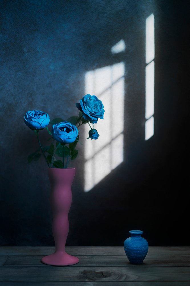 Blaue Rosen im Fensterlicht von Lydia Jacobs